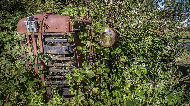 Vieux tracteur recouvert par la végétation