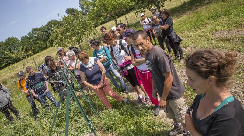 Groupe de randonneurs devant un jardin